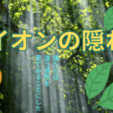 【2025年最新】『ライオンの隠れ家』はどこで見られる？無料で全話視聴する方法を解説！