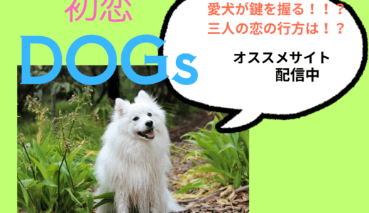 【2025年最新】『初恋DOGs』はどこで見られる？無料で全話視聴する方法を解説！