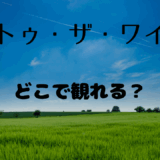 【2025年最新】『イントゥ・ザ・ワイルド』はどこで見られる？無料で視聴する方法を解説！