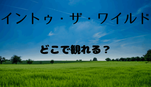 【2025年最新】『イントゥ・ザ・ワイルド』はどこで見られる？無料で視聴する方法を解説！