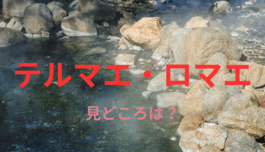 【2025年最新】『テルマエ・ロマエ』はどこで見られる？無料で視聴する方法を解説！