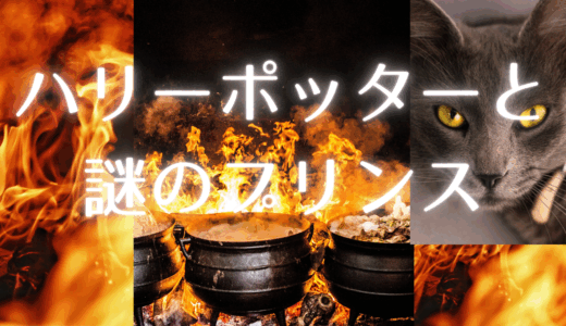 【2025年最新】『ハリーポッターと謎のプリンス』はどこで見られる？無料で視聴する方法を解説！
