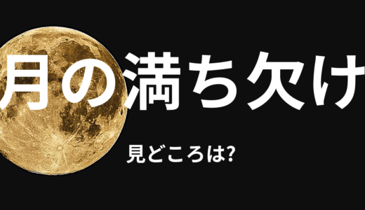 【2025年最新】『月の満ち欠け』はどこで見られる？無料で視聴する方法を解説！