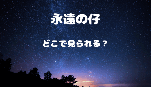【2025年最新】『永遠の仔』はどこで見られる？無料で全話視聴する方法を解説！
