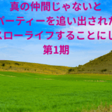 【2025年最新】『真の仲間じゃないと勇者のパーティーを追い出されたので、辺境でスローライフすることにしました 第1期』はどこで見られる？無料で全話視聴する方法を解説！