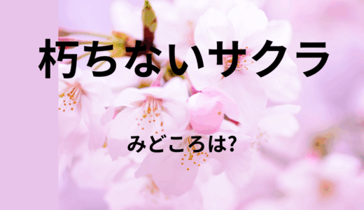【2026年最新】『朽ちないサクラ』はどこで見られる？無料で全話視聴する方法を解説！