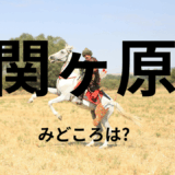 【2026年最新】『関ヶ原』はどこで見られる？無料で全話視聴する方法を解説！