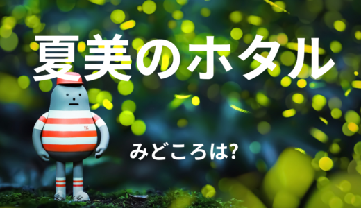 【2026年最新】『夏美のホタル』はどこで見られる？無料で全話視聴する方法を解説！