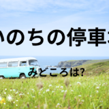 【2026年最新】『いのちの停車場』はどこで見られる？無料で全話視聴する方法を解説！
