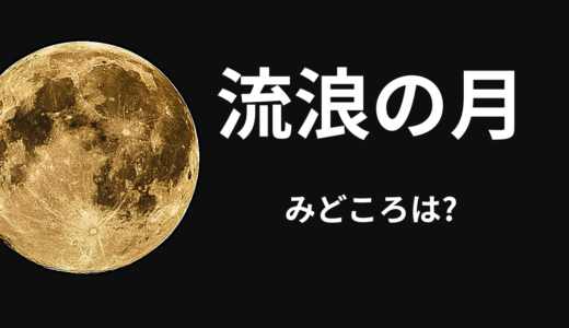 【2026年最新】『流浪の月』はどこで見られる？無料で全話視聴する方法を解説！