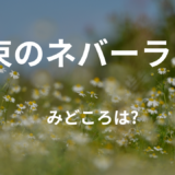 【2026年最新】『約束のネバーランド』はどこで見られる？無料で全話視聴する方法を解説！