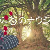【2026年最新】『風の谷のナウシカ』はどこで見られる？視聴する方法を解説！