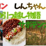【2026年最新】『クレヨンしんちゃんオラの引っ越し物語   サボテン大襲撃』はどこで見られる？視聴する方法を解説！