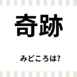 【2026年最新】『奇跡』はどこで見られる？無料で全話視聴する方法を解説！