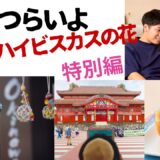 【2026年最新】『男はつらいよ寅次郎ハイビスカスの花  特別編』はどこで見られる？視聴する方法を解説！
