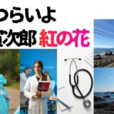 【2026年最新】『男はつらいよ  寅次郎紅の花』はどこで見られる？視聴する方法を解説！