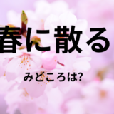 【2026年最新】『春に散る』はどこで見られる？無料で全話視聴する方法を解説！